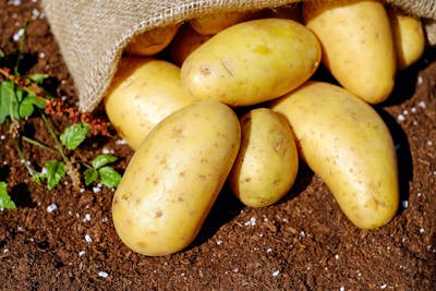 Patatas